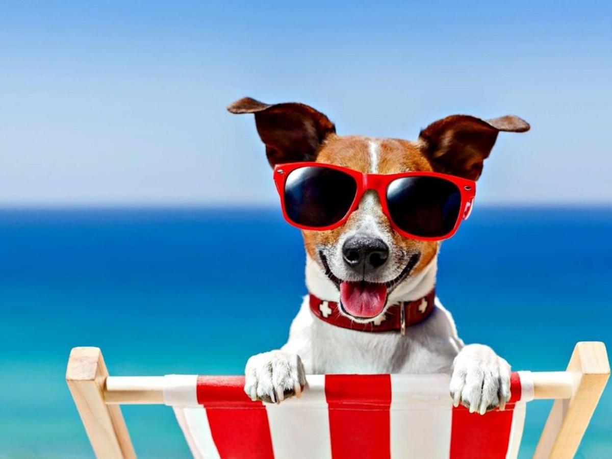 Relaxing Chalet On Popular California Sands Short Stroll To Beach, Nr Norfolk Broads & Great Yarmouth Scratby 외부 사진